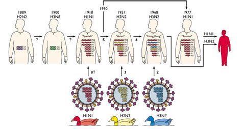 Pandemic quiz | Virology Blog