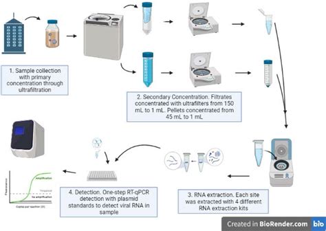 A comparison of four commercially available RNA extraction kits for ...