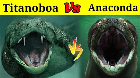 Anaconda Vs Titanoboa