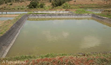 Two communities clash over ownership of fish pond and kill 24 | AFRICA ...