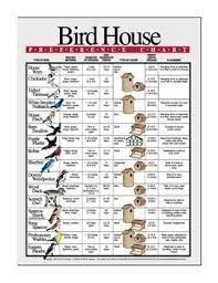 Image result for birdhouse hole sizes uk | Cardinal bird house, Bird ...