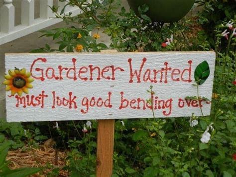 25 super funny Garden signs - A girl and a glue gun