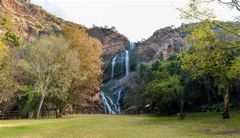 Botanical Gardens Johannesburg Entrance Fee