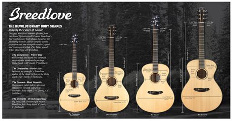 Acoustic Guitar Body Shapes, The Breedlove Way