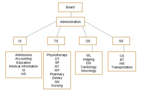 Hospital's Organizational Structure and Departments | Free Essay Example