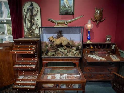 Booth Museum of Natural History 2019 (Brighton) - Everything You Need ...