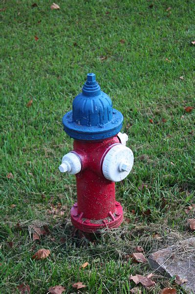 What Do Different Fire Hydrant Colors Mean - elderlasopa