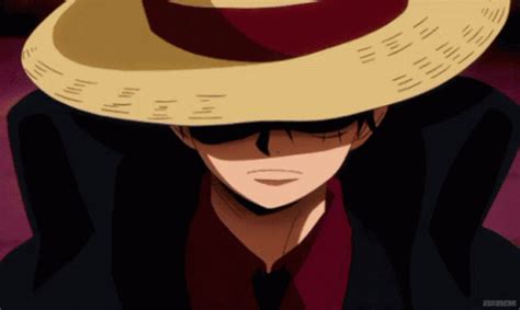 Luffy One Piece Pirate GIF