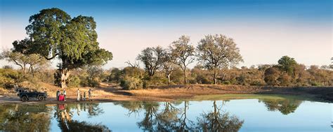 RockFig Safari Lodge | Timbavati Safari Lodges | Safari Guide Africa