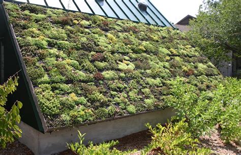 Green Roof Construction - How To Make A Green Roof