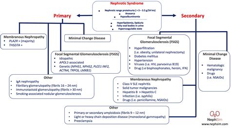 Case 28: Diagnosis & Conclusions