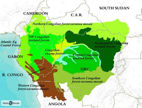 Congo Basin Ecoregions | Global Forest Atlas