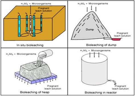 7 shows images of the different techniques of bioleaching currently ...