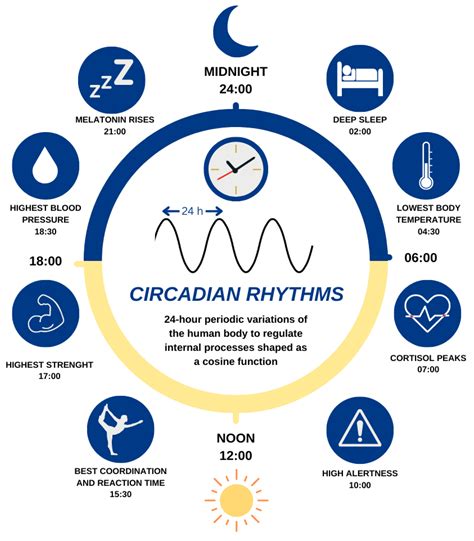 Biomimetics | Free Full-Text | Adaptive Circadian Rhythms for ...