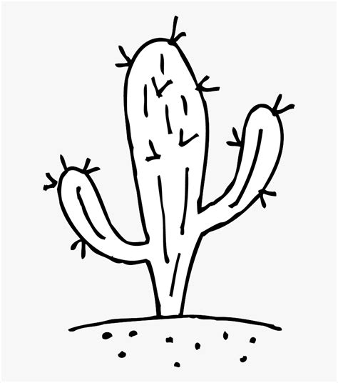 Outline Cactus Line Drawing Cactus outline drawing set featuring ...