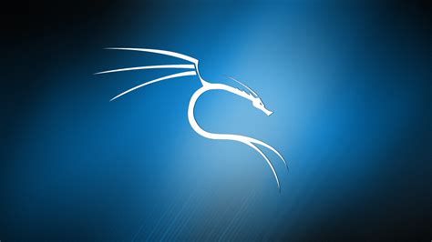 Kali Linux 4k Wallpapers - Top Free Kali Linux 4k Backgrounds ...