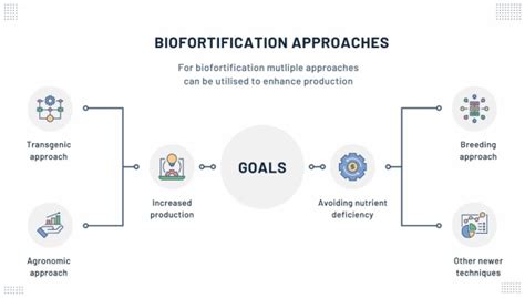 Biofortification | Encyclopedia MDPI