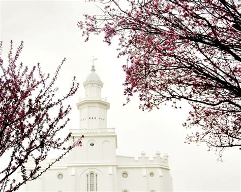 St. George Utah Temple in the Spring