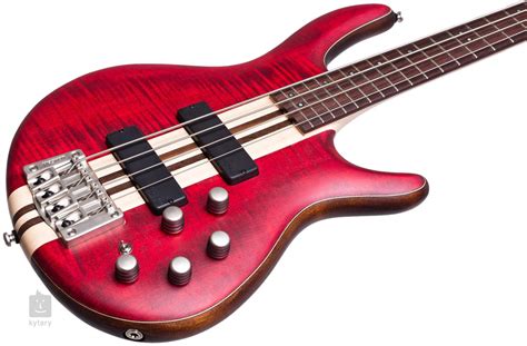 Cort bass guitars reddit - stashokjuicy