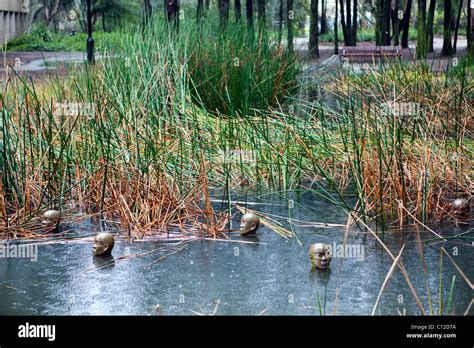 Fog sculpture, canberra hi-res stock photography and images - Alamy