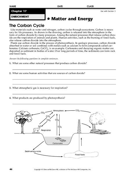 The Carbon Cycle Worksheet - Englishworksheet.my.id