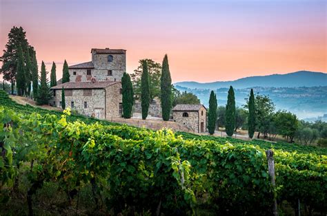 The 7 Best Italy Bike Tours Through Wine Country