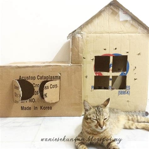 WanieSamani's Blog: DIY Rumah Kotak Untuk Kucing