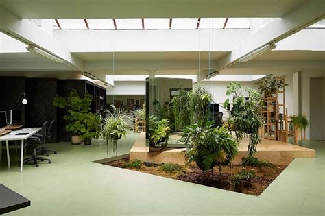 Indoor garden design ideas – types of indoor gardens and plant tips