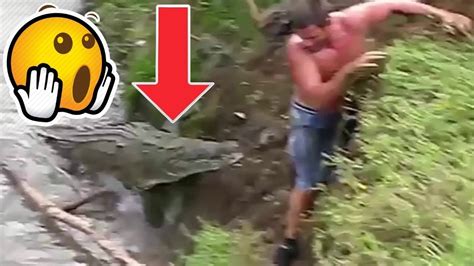 Deadliest Animal Attacks On Human Part 3 - YouTube