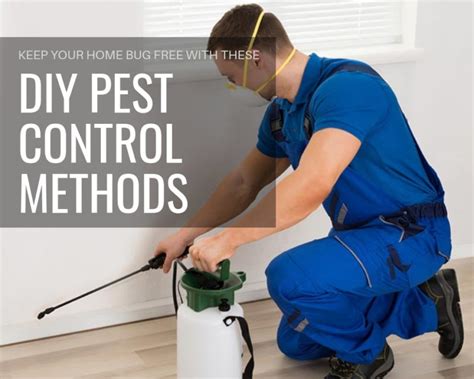 pest control methods - The Architects Diary