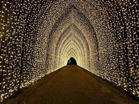 Tickets For Christmas At Kew's Twinkling Light Trail Are On Sale Now ...