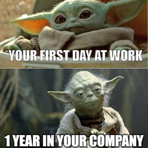 Yoda meme, Yoda funny, Funny babies