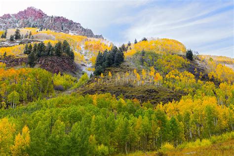 Fall Colors In Aspen Colorado Photograph by Tim Reaves - Fine Art America