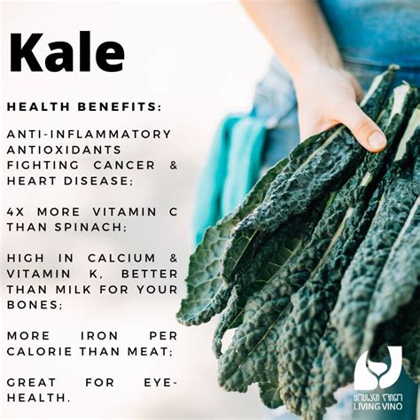 Kale is a Vegan SuperFood | Living Vino: Plant-Based Restaurant ...