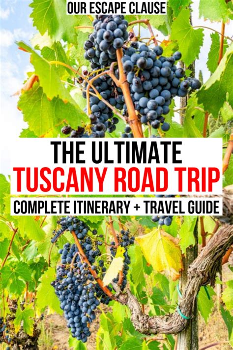 The Perfect Tuscany Road Trip Itinerary (+ Driving Tips!)