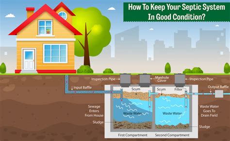 8 Septic Tank Maintenance Tasks to Do Regularly