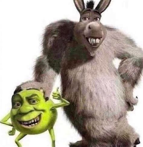 donkey and shrek | Memes shrek, Memes divertidos, Humor de animales