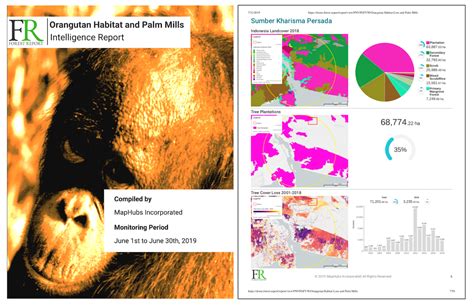 Introducing Orangalerts! Our new Orangutan Habitat Loss Detection ...