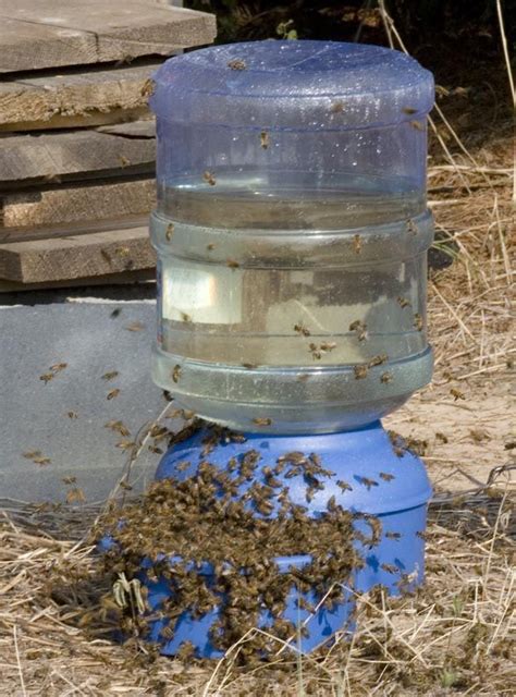 Bee feeder. This is amazing - http://www.survivalacademy.co ...