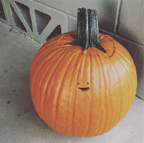 This hilariously itty-bitty, tiny-faced pumpkin: | Creative pumpkin ...