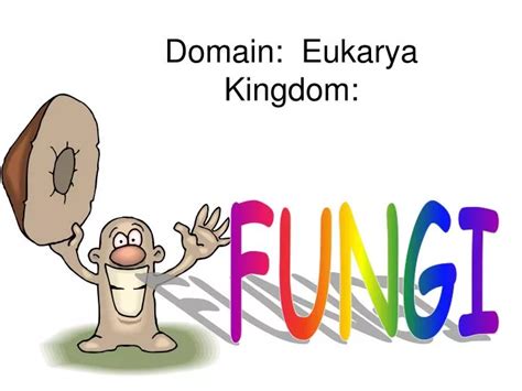 PPT - Domain: Eukarya Kingdom: PowerPoint Presentation, free download ...