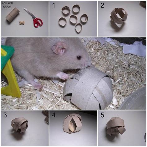 17 Best images about Hamster toys on Pinterest | Homemade, Toys and ...