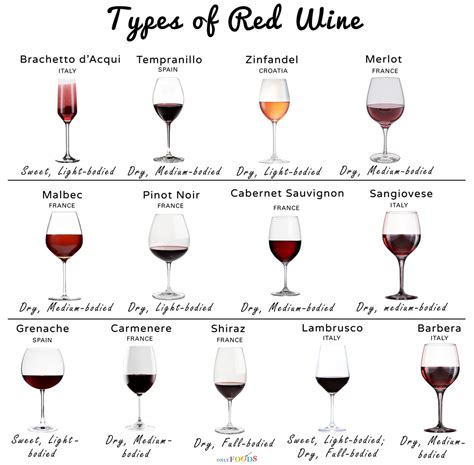 Wine Glasses Types Chart