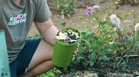 Does Burying Food Scraps Produce Results in the Garden?