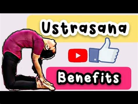 How to do Ustrasana || Benefits || Precautions - YouTube