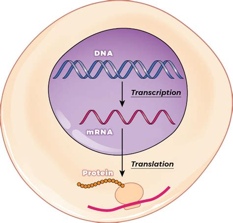 Analyzing tumor RNA may help match patients with most effective cancer ...