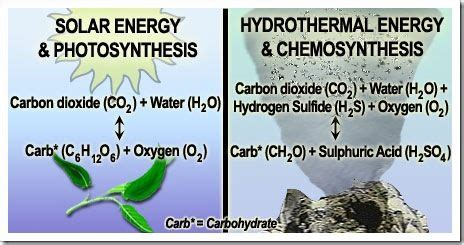 Chemosynthesis Is a Process by Which Some Organisms Use - Mira-has-Rubio