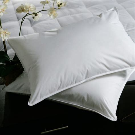 Buy Goose Feather Down Pillow - 20/80 online in India. Best prices ...