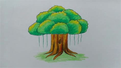 Banyan Tree Drawing For Kids