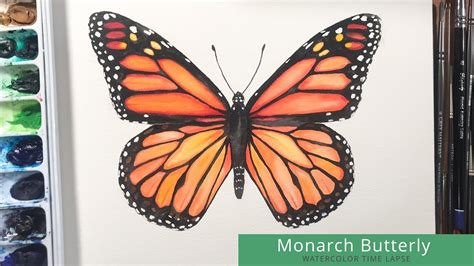 Monarch Butterfly Easy Watercolor Paintings Of Butterflies - Deiafa Ganello